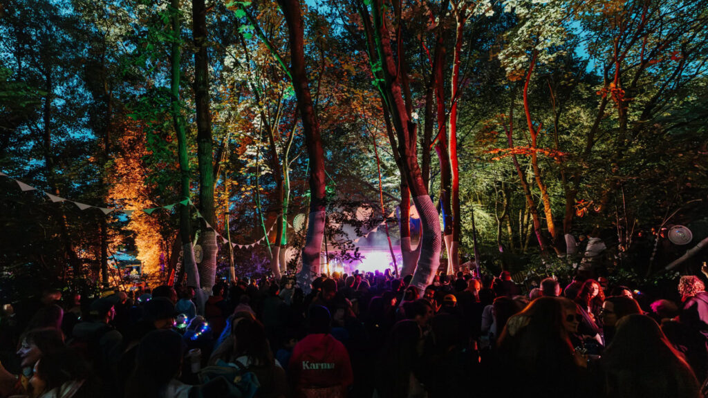 Crowd watch a performance at woodland stage at Stendhal Festival 